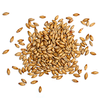 https://www.wankelbier.nl/wp-content/uploads/2017/05/ingredients_transparent_03.png